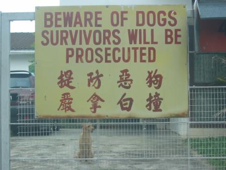 Beware Of Dogs Picture