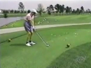 Golfer Kills Bird Sports Videos