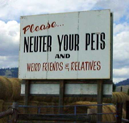 Neuter Not Just Pets Picture