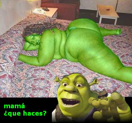 Shrek's Dream Come True Picture