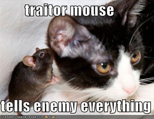 Snitch Mouse Picture