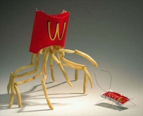 Spider Fries Picture