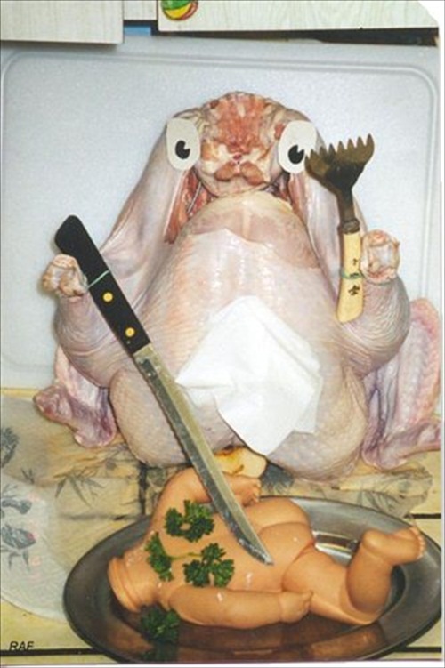 Strange Turkey Dinner  Picture