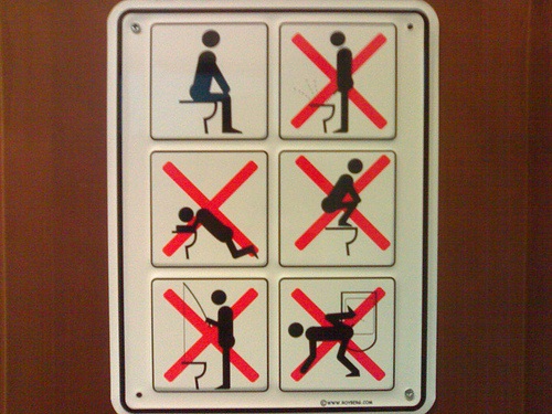 Toilet Instructions Picture