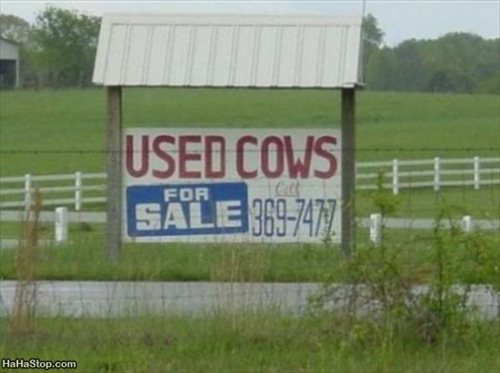 Used Cow Lot Picture