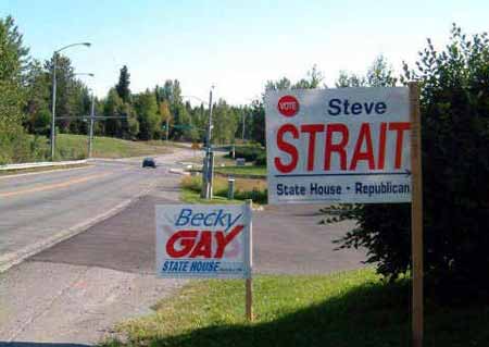 Vote Straight or Gay Picture